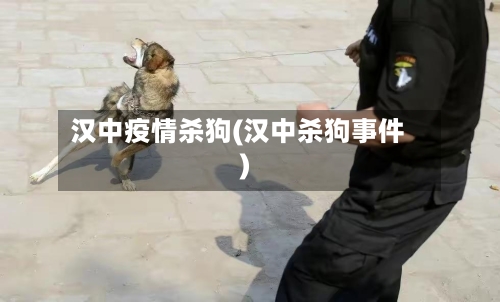 汉中疫情杀狗(汉中杀狗事件)