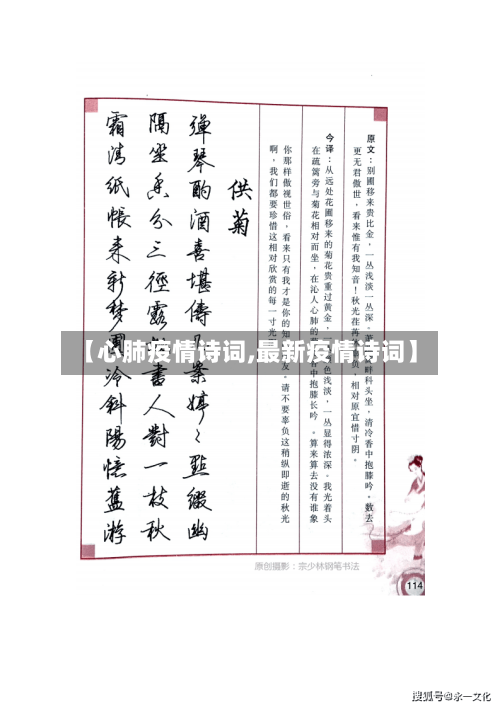 【心肺疫情诗词,最新疫情诗词】-第3张图片