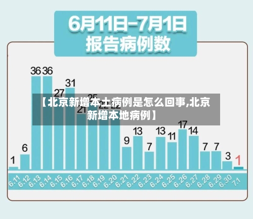 【北京新增本土病例是怎么回事,北京新增本地病例】