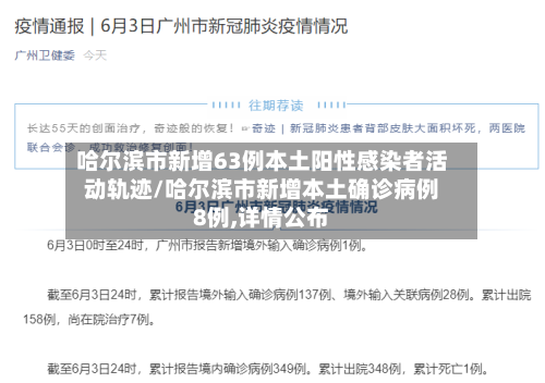 哈尔滨市新增63例本土阳性感染者活动轨迹/哈尔滨市新增本土确诊病例8例,详情公布-第2张图片